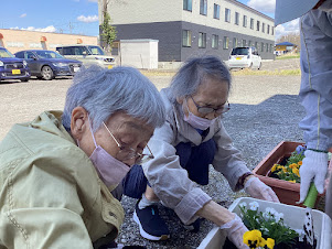 水やり1